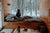 Cold weather sleeping