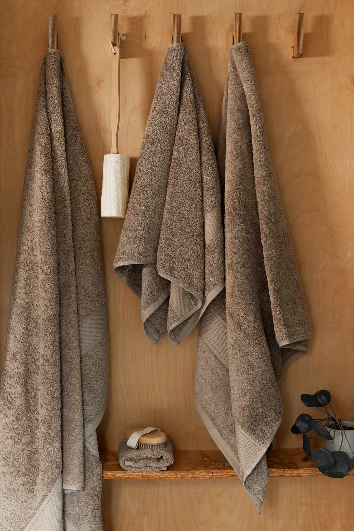 Latte 650GSM Towels by Beaumont & Brown