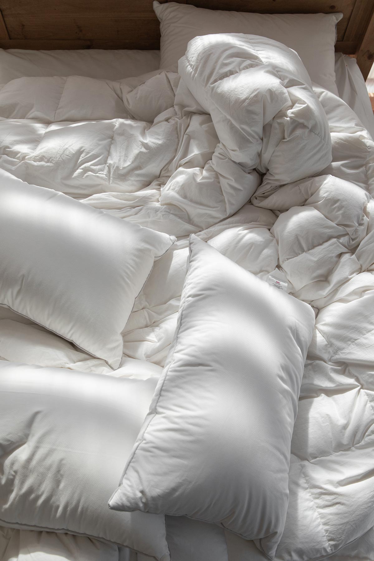 Savoy Pillows by Beaumont & Brown